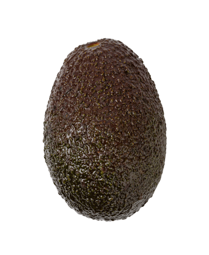 Huertas de aguacate
