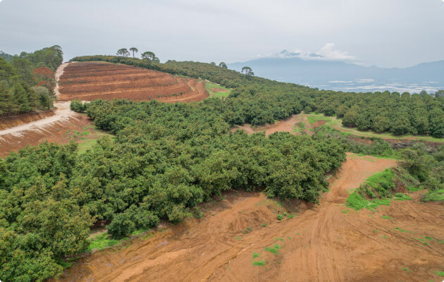 Monitoreo riguroso del riesgo climatológico